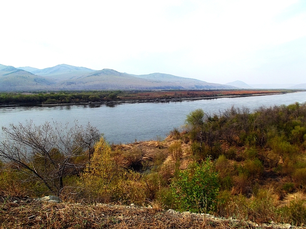 Верхние куларки фото